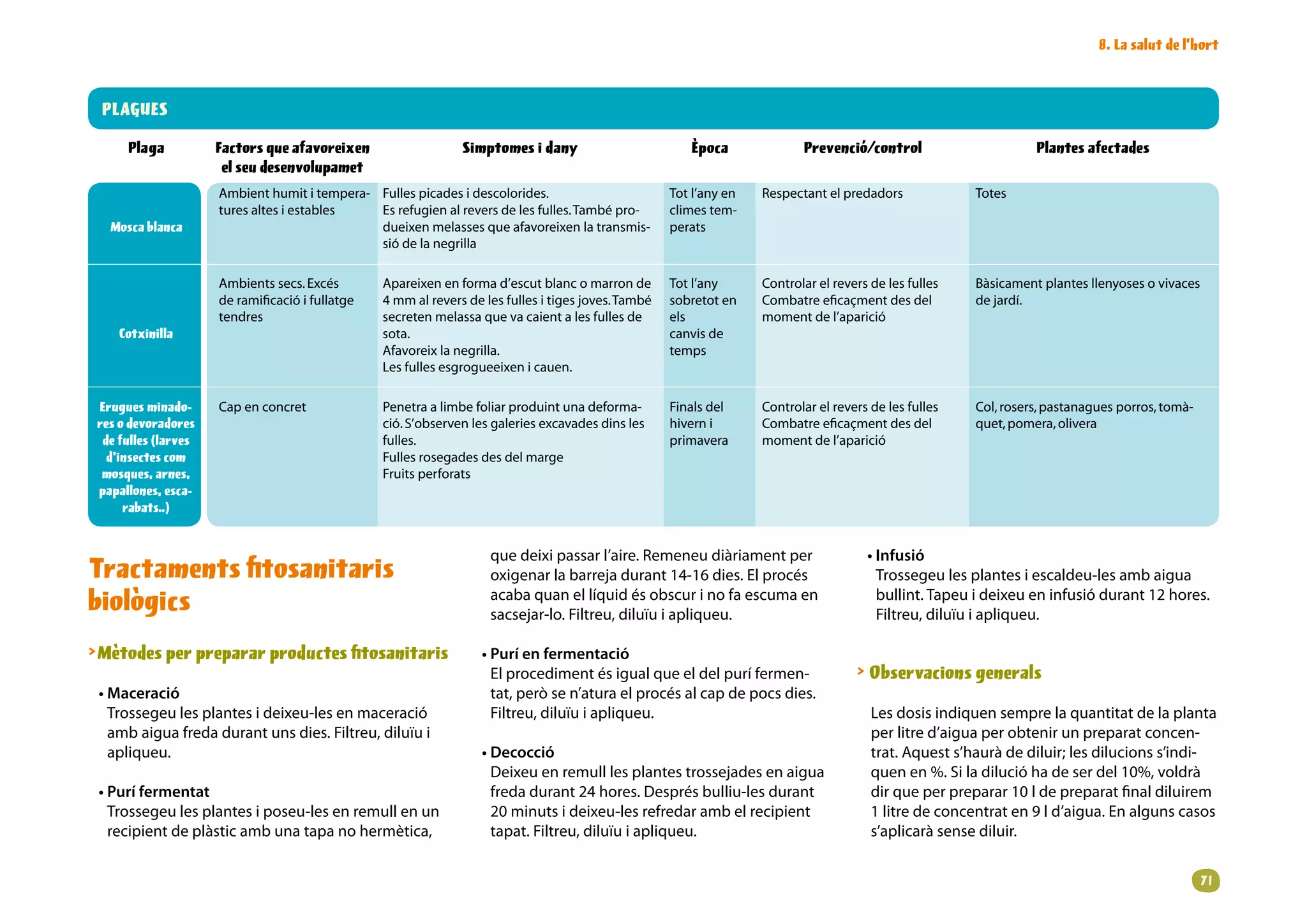 8. La salut de l’hort



 PLAGUES

      Plaga           Factors que afavoreixen                    Simptomes i dany                           Època              Prevenció/control                      Plantes afectades
                       el seu desenvolupamet
                      Ambienthumititempera- Fullespicadesidescolorides.                          Totl’anyen   Respectantelpredadors            Totes
                      turesaltesiestables   Esrefugienalreversdelesfulles.Tambépro-          climestem-
   Mosca blanca                                dueixenmelassesqueafavoreixenlatransmis-            perats
                                               siódelanegrilla

                      Ambientssecs.Excés        Apareixenenformad’escutblancomarronde        Totl’any      Controlarelreversdelesfulles   Bàsicamentplantesllenyosesovivaces
                      deramificacióifullatge   4mmalreversdelesfullesitigesjoves.També   sobretoten    Combatreeficaçmentdesdel        dejardí.
                      tendres                      secretenmelassaquevacaientalesfullesde      els            momentdel’aparició
     Cotxinilla                                    sota.                                               canvisde
                                                   Afavoreixlanegrilla.                               temps
                                                   Lesfullesesgrogueeixenicauen.

 Erugues minado-      Capenconcret               Penetraalimbefoliarproduintunadeforma-         Finalsdel     Controlarelreversdelesfulles   Col,rosers,pastanaguesporros,tomà-
 res o devoradores                                 ció.S’observenlesgaleriesexcavadesdinsles     hiverni       Combatreeficaçmentdesdel        quet,pomera,olivera
  de fulles (larves                                fulles.                                              primavera      momentdel’aparició
   d’insectes com                                  Fullesrosegadesdesdelmarge
  mosques, arnes,                                  Fruitsperforats
 papallones, esca-
      rabats..)


                                                                      que deixi passar l’aire. Remeneu diàriament per                      • Infusió
Tractaments fitosanitaris                                             oxigenar la barreja durant 14-16 dies. El procés                       Trossegeu les plantes i escaldeu-les amb aigua
biològics                                                             acaba quan el líquid és obscur i no fa escuma en
                                                                      sacsejar-lo. Filtreu, diluïu i apliqueu.
                                                                                                                                             bullint. Tapeu i deixeu en infusió durant 12 hores.
                                                                                                                                             Filtreu, diluïu i apliqueu.

Mètodes per preparar productes fitosanitaris                        • Purí en fermentació
                                                                       El procediment és igual que el del purí fermen-                    Observacions generals
 • Maceració                                                           tat, però se n’atura el procés al cap de pocs dies.
   Trossegeu les plantes i deixeu-les en maceració                     Filtreu, diluïu i apliqueu.                                          Les dosis indiquen sempre la quantitat de la planta
   amb aigua freda durant uns dies. Filtreu, diluïu i                                                                                       per litre d’aigua per obtenir un preparat concen-
   apliqueu.                                                         • Decocció                                                             trat. Aquest s’haurà de diluir; les dilucions s’indi-
                                                                       Deixeu en remull les plantes trossejades en aigua                    quen en %. Si la dilució ha de ser del 10%, voldrà
 • Purí fermentat                                                      freda durant 24 hores. Després bulliu-les durant                     dir que per preparar 10 l de preparat final diluirem
   Trossegeu les plantes i poseu-les en remull en un                   20 minuts i deixeu-les refredar amb el recipient                     1 litre de concentrat en 9 l d’aigua. En alguns casos
   recipient de plàstic amb una tapa no hermètica,                     tapat. Filtreu, diluïu i apliqueu.                                   s’aplicarà sense diluir.


                                                                                                                                                                                                     1
 