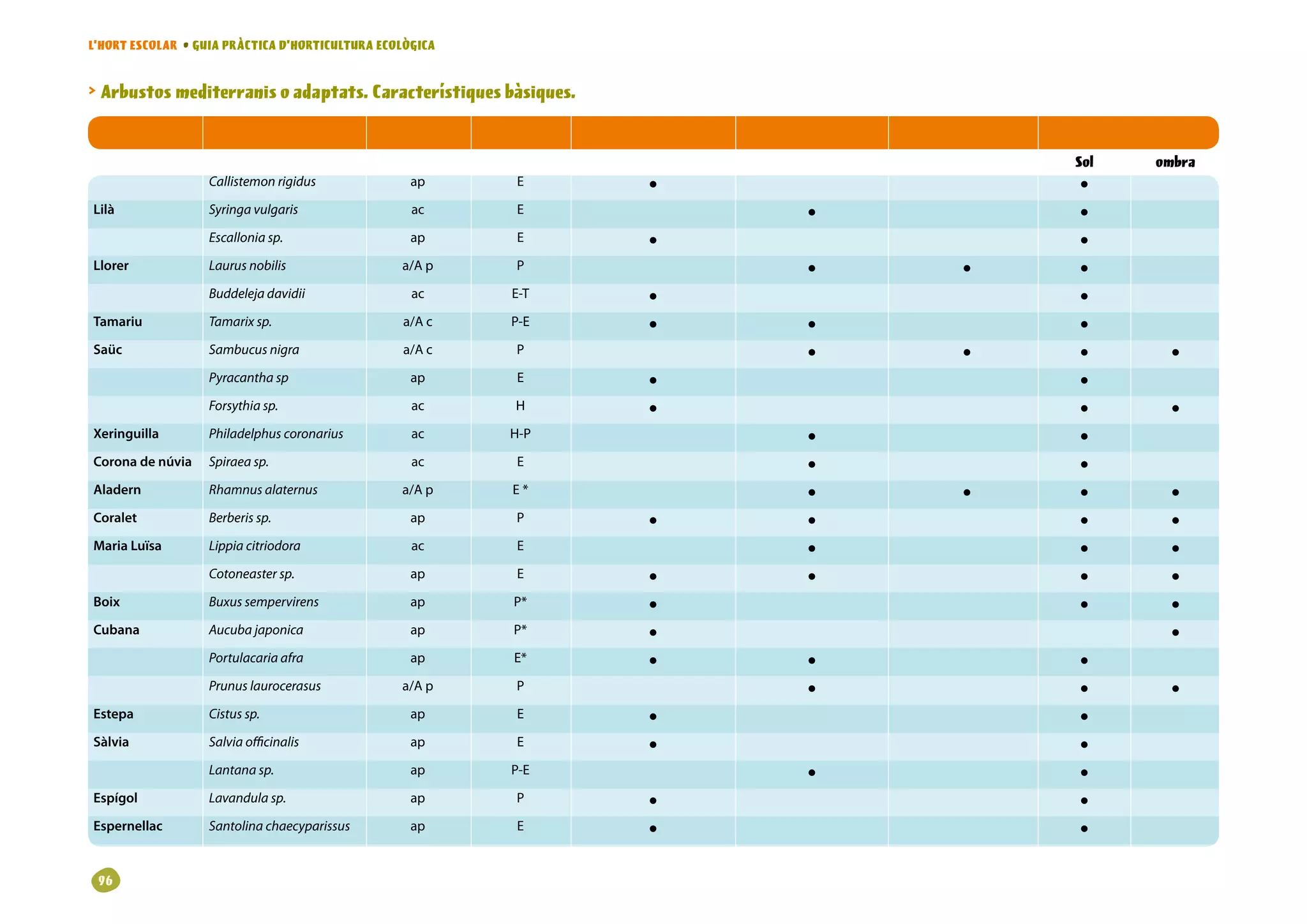 L’HORT ESCOLAR • GUIA PRÀCTICA D’HORTICULTURA ECOLÒGICA


 Arbustos mediterranis o adaptats. Característiques bàsiques.
NOM POPULAR NOM CIENTÍFIC                       TIPUS     FLORACIÓ   PORT PETIT   PORT MITJÀ   PORT GRAN   REQUERIMENT DE LLUM

                                                                                                              Sol      ombra
                   Callistemon rigidus             ap        E           •                                    •
Lilà               Syringa vulgaris                ac        E                        •                       •
                   Escallonia sp.                  ap        E           •                                    •
Llorer             Laurus nobilis                a/A p       P                        •            •          •
                   Buddeleja davidii               ac       E-T          •                                    •
Tamariu            Tamarix sp.                   a/A c      P-E          •            •                       •
Saüc               Sambucus nigra                a/A c       P                        •            •          •          •
                   Pyracantha sp                   ap        E           •                                    •
                   Forsythia sp.                   ac        H           •                                    •          •
Xeringuilla        Philadelphus coronarius         ac       H-P                       •                       •
Corona de núvia    Spiraea sp.                     ac        E                        •                       •
Aladern            Rhamnus alaternus             a/A p       E*                       •            •          •          •
Coralet            Berberis sp.                    ap        P           •            •                       •          •
Maria Luïsa        Lippia citriodora               ac        E                        •                       •          •
                   Cotoneaster sp.                 ap        E           •            •                       •          •
Boix               Buxus sempervirens              ap        P*          •                                    •          •
Cubana             Aucuba japonica                 ap        P*          •                                               •
                   Portulacaria afra               ap        E*          •            •                       •
                   Prunus laurocerasus           a/A p       P                        •                       •          •
Estepa             Cistus sp.                      ap        E           •                                    •
Sàlvia             Salvia officinalis              ap        E           •                                    •
                   Lantana sp.                     ap       P-E                       •                       •
Espígol            Lavandula sp.                   ap        P           •                                    •
Espernellac        Santolina chaecyparissus        ap        E           •                                    •
 96
 