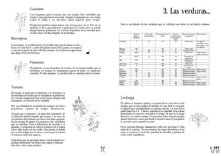 Guisante
                    Con el guisante pasa lo mismo que con la judía. Hay variedades que
                                                                                                                                         3. Las verduras...
                    trepan y otras que hacen una mata. Aunque el guisantes no crece tanto
                    como la judía y no necesita tanto espacio para trepar.

                    El guisante prefiere temperaturas más frescas para crecer. Por eso la    Este es un listado de las verduras que se cultivan con éxito en un huerto urbano:
                    siembra se hace generalmente a principios de otoño pero se puede
                    alargar hasta la primavera. La cosecha dependerá de la variedad pero
                    se suele hacer 50 días después de la siembra.

Berenjena
La berenjena es, posiblemente, la hortaliza que más le gusta el calor y
la luz. Se suele hacer a partir del plantel entre abril y junio y se empieza
a cosechar a partir de unos 100 días después. La recolección sigue hasta
que llega el frío del invierno.


                    Pimiento
                    El pimiento es una hortaliza de verano, de la misma familia que la
                    berenjena y el tomate. Se transplanta a partir de abril y se empieza a
                    cosechar 70 días después. La producción es continua hasta el otoño.




Tomate
El tomate, al igual que el pimiento y la berenjena es
una hortaliza de verano que se transplanta en primavera.
La cosecha empieza de dos a tres meses después del                                           Lechuga
transplante, en función de la variedad.
                                                                                             El cultivo es bastante rápido y se puede hacer casi todo el año
Hay una infinidad de variedades de tomates: de frutos                                        siempre que no haya peligro de heladas. Lo más fácil es conseguir
pequeños, tomate de colg ar, Montser rat.                                                    el plantel para transplantarlo en nuestro huerto. La cosecha se
                                                                                             puede hacer en 1,5 - 3 meses, depende de la variedad. Si se retrasa
Al igual que el guisante y la judía hay variedades de                                        demasiado la cosecha corremos el riesgo de que la lechuga
crecimiento indeterminado que trepan y de otras de                                           florezca y se vuelva amarga. Si queremos hacer nuestro propio
crecimiento determinado que hacen una mata pequeña.                                          plantel debemos contar que desde la siembra hasta el transplante
En las tiendas de plantel encontramos sólo variedades                                        se necesita como mínimo un mes.
que se enredan. Pero a diferencia de la judía y el
guisante, si ponemos un tutor la tomatera no se sujeta                                       En la variedad llamada Romana hace falta atar las hojas 15 días
y hace falta atarla con un cordel. Otra opción es dejarla                                    antes de la cosecha. De esta manera, las hojas del interior, al no
que se descuelgue por la mesa y crezca por la terraza                                        estar en contacto con la luz, pierden la clorofila y quedan de
si tenemos suficiente espacio.                                                               color verde-amarillento.

Otra faena que es necesario hacer con la tomatera es
podarla eliminando los brotes que salgan y dejando
sólo dos o tres como máximo.
 
