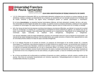 GUIA PARA IDENTIFICACION DE POSIBLE NEWCASTLE EN CAMPO
 1, 2, 3.- Enfermedad de Newcastle (ND) es una enfermedad altamente contagiosa que se produce en muchas especies de aves
domésticas, exóticas y salvajes; que dependiendo de su tropismo, se caracterizan por una marcada variación de la morbilidad, tasa
de muerte, síntomas y lesiones. Los signos clínico morfológicos poseen un carácter viscerotrópico o neurotrópico.
En la forma viscerotrópica, se presentan lesiones hemorrágicas diftéricas, del tracto alimentario completo, del pico y del recto.
Son remarcables las hemorragias del epitelio de la molleja. La cubierta mucosa se presenta edematosa, cubierta por moco delgado
y moteada con hemorragias, las cuales varían de simples a múltiples, algunas veces sin límites entre con la molleja y el esófago.
 4, 5.- Son típicas de ésta forma las lesiones necróticas hemorrágicas y las lesiones difteroides, que afectan la mucosa de la cavidad
bucal (4), el estómago o el intestino (5). La enfermedad es prevalente de manera preferente en gallinas y se presenta rara vez en
pavos, aves exóticas o salvajes. Esta enfermedad está producida por un paramixovirus. Dependiendo de su patogenicidad, las
numerosas cepas conocidas, se clasifican como lentogénicas, mesogénicas y velogénicas.
Las vacunas realizadas a partir de cepas lentogénicas, provocan una inmunidad corta por lo que se requiere de revacunación. Las
vacunas de las cepas mesogénicas producen una inmunidad tardía, pero pueden provocar un trastorno letal, especialmente en aves
sin inmunidad primaria creada en la base de cepas vacúnales lentogénicas.
 6, 7.- Un hallazgo frecuente es el aumento de tamaño y la presencia de hemorragias en las tonsilas cecales (6) y cloascitis
hemorrágica (7). Usualmente, esas lesiones empiezan en el tejido linfoide de la cubierta mucosa. Las excreciones que contienen el
virus que provienen de las aves infectadas, contaminan el alimento, el agua y el ambiente, y se constituyen en la fuente de infección.
La infección se transmite principalmente por vía oral, la transmisión aérea y el contacto directo son menos frecuentes. El virus,
contenido en huevos incubados, produce muerte embrionaria. No existe un portador permanente del virus. Un factor importante en
la transmisión de los virus velogénicos son las aves exóticas y los gallos de pelea. La tasa de mortalidad puede llegar del 70 al 100
%.
 8.- La forma neurotrópica de la enfermedad se manifiesta clínicamente con ataxia, opistótonos, tortícolis, paresia y parálisis de las
piernas. Esta forma se acompaña frecuentemente con síntomas respiratorios. Histopatológicamente se observa un cuadro de
encefalomielitis linfocítica no purulenta.
 