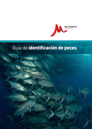 Guía de identificación de peces
 