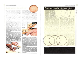 Guiailustradodaguitarra 140314171234-phpapp02