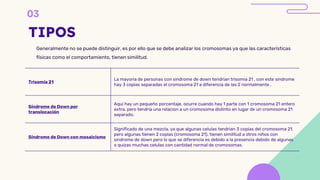 TIPOS
Generalmente no se puede distinguir, es por ello que se debe analizar los cromosomas ya que las características
físicas como el comportamiento, tienen similitud.
Trisomía 21
La mayoria de personas con sindrome de down tendrian trisomia 21 , con este sindrome
hay 3 copias separadas el cromosoma 21 a diferencia de las 2 normalmente .
Síndrome de Down por
translocación
Aqui hay un pequeño porcentaje, ocurre cuando hay 1 parte con 1 cromosoma 21 entero
extra, pero tendria una relacion a un cromosoma distinto en lugar de un cromosoma 21
separado.
Síndrome de Down con mosaicismo
Significado de una mezcla, ya que algunas celulas tendrian 3 copias del cromosoma 21,
pero algunas tienen 2 copias (cromosoma 21), tienen similitud a otros niños con
sindrome de down pero lo que se diferencia es debido a la presencia debido de algunas
o quizas muchas celulas con cantidad normal de cromosomas.
 