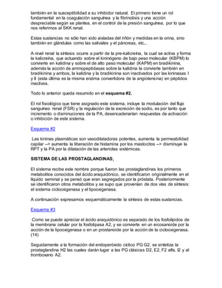 también en la susceptibilidad a su inhibidor natural. El primero tiene un rol
fundamental en la coagulación sanguínea y la fibrinolisis y una acción
despreciable según se plantea, en el control de la presión sanguínea, por lo que
nos referimos al SKK renal.
Estas sustancias no sólo han sido aisladas del riñón y medidas en la orina, sino
también en glándulas como las salivales y el páncreas, etc...
A nivel renal la síntesis ocurre a partir de la pre-kalicreína, la cual se activa y forma
la kalicreína, que actuando sobre el kininógeno de bajo peso molecular (KBPM) lo
convierte en kalidina y sobre el de alto peso molecular (KAPM) en bradikinina,
además la acción de aminopeptidasas sobre la kalidina la convierte también en
bradikinina y ambos, la kalidina y la bradikinina son inactivados por las kininasas I
y II (esta última es la misma enzima convertidora de la angiotensina) en péptidos
inactivos.
Todo lo anterior queda resumido en el esquema #2.
El rol fisiológico que tiene asignado este sistema, incluye la modulación del flujo
sanguíneo renal (FSR) y la regulación de la excreción de sodio, es por tanto que
incremento o disminuciones de la PA, desencadenarían respuestas de activación
o inhibición de este sistema.
Esquema #2
Las kininas plasmáticas son vasodilatadoras potentes, aumenta la permeabilidad
capilar --> aumenta la liberación de histamina por los mastocitos --> disminuye la
RPT y la PA por la dilatación de las arteriolas sistémicas.
SISTEMA DE LAS PROSTAGLANDINAS.
El sistema recibe este nombre porque fueron las prostaglandinas los primeros
metabolitos conocidos del ácido araquidónico, se identificaron originalmente en el
líquido seminal y se pensó que eran segregados por la próstata. Posteriormente
se identificaron otros metabolitos y se supo que provenían de dos vías de síntesis:
el sistema ciclooxigenasa y el lipooxigenasa.
A continuación expresamos esquemáticamente la síntesis de estas sustancias.
Esquema #3
Como se puede apreciar el ácido araquidónico es separado de los fosfolípidos de
la membrana celular por la fosfolipasa A2, y se convierte en un eicosanoide por la
acción de la lipooxigenasa o en un prostanoide por la acción de la ciclooxigenasa.
(14)
Seguidamente a la formación del endoperóxido cíclico PG G2, se sintetiza la
prostaglandina H2 las cuales darán lugar a las PG clásicas D2, E2, F2 alfa, I2 y al
tromboxano A2.
 