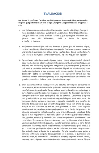 EVALUACION
Lee lo que la profesora Carolina escribió para sus alumnos de Ciencias Naturales
después que participó en un tour al lago Chungará. Luego contesta las preguntas 1
a 12.

1. Una de las cosas que más me llamó la atención cuando subí al lago Chungará
   fue la cantidad de camélidos que observé. Los camélidos de América del Sur son
   una gran familia de cuatro especies. Eso es lo que dijo el guía. Provienen del
   género      Lama     de   Sudamérica,     como     la   llama,    la    alpaca,
   la vicuña y el guanaco.

2. Me pareció increíble que con sólo mirarlos el joven guía de nombre Miguel,
   pudiera identificarlos. Miraba hacia un lado y decía, “hacia nuestra derecha vemos
   una familia de guanacos, más allá un par de vicuñas. Estas de acá son las llamas”.
   Una señora le dijo “ ¿Estas también son vicuñas? No –dijo Miguel – son alpacas”.

3. Para mí eran todas las especies iguales ¿cómo podría diferenciarlas?, ¿deberé
   pasar mucho tiempo observando camélidos para notar las diferencias? Alguien se
   adelantó a mi inquietud y le pregunto a Miguel en qué podría fijarme para sabe a
   qué especie pertenece uno de estos animales. Miguel no se sorprendió, pues
   estaba acostumbrado a esa pregunta, tanto como a recitar siempre la misma
   disertación sobre los camélidos. Gracias a su explicación aprendí que los
   camélidos habitan en el norte grande y están emparentados con los camellos. Son
   grandes proveedores de lana, carne y de animales de carga.

4. Entre sus características físicas poseen una pezuñas, pero el peso del cuerpo no
   recae en ellas, sin en las almohadillas plantares. Son sus extremos anteriores de la
   pezuña los que tocan el suelo. Tienen su labio superior hendido, su cuello largo y
   curvo hacen parecer las patas muy largas por contraste. Se desplazan de manera
   semejante a la de los osos, de las jirafas y de los elefantes. La llama es la especie
   más grande, mide de 150 a 190 cm de altura y puede llegar a pesar hasta 140 k. Su
   cuerpo es esbelto, aunque su cabeza se ve pequeña en relación a su tamaño. Se
   alimenta de la paja brava que hay entre los prados y sirve com animal de carga,
   aunque lo más valorado de ella es, principalmente, la lana. Para algunos
   estudiosos de los camélidos, esta especie pertenece a la familia del guanaco. Se
   alimenta pastoreando en los bofedales, como el lago Chungará. La cabeza de la
   alpaca es más pequeña que la de la llama y tiene un mechón que le cubre hasta los
   ojos, grandes, salientes y redondos. Sus orejas son pequeñas y sobresalen con
   notoriedad. Su cuerpo es de menor estatura y más curvilíneo que el de la llama.
   La vicuña es el camélido más pequeño. Su color es marrón claro en la parte dorsal
   y blanco en su vientre y pecho. Mide entre 100 y 130 centímetros y pesa entre 35 y
   40 k. Pastorea, igual que las alpacas, en los bofedales y también en pastizales.
   Este animal estuvo al borde de la extinción. Pero la naturaleza supo avisar a
   tiempo y se hizo una campaña de recuperación de la especie. El guanaco es una
   especie salvaje, no domesticada. Su cuerpo es esbelto y de pelaje marrón, lanoso,
   espeso y corto. Algunos ejemplares tienen tonos negruzcos en la cabeza. Tienen
 