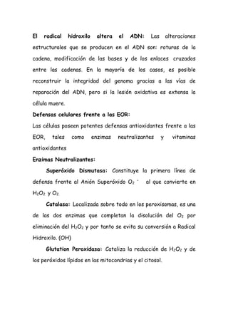 El radical hidroxilo altera el ADN: Las alteraciones
estructurales que se producen en el ADN son: roturas de la
cadena, modificación de las bases y de los enlaces cruzados
entre las cadenas. En la mayoría de los casos, es posible
reconstruir la integridad del genoma gracias a las vías de
reparación del ADN, pero si la lesión oxidativa es extensa la
célula muere.
Defensas celulares frente a las EOR:
Las células poseen potentes defensas antioxidantes frente a las
EOR, tales como enzimas neutralizantes y vitaminas
antioxidantes
Enzimas Neutralizantes:
Superóxido Dismutasa: Constituye la primera línea de
defensa frente al Anión Superóxido O2
–
al que convierte en
H2O2 y O2.
Catalasa: Localizada sobre todo en los peroxisomas, es una
de las dos enzimas que completan la disolución del O2 por
eliminación del H2O2 y por tanto se evita su conversión a Radical
Hidroxilo. (OH)
Glutation Peroxidasa: Cataliza la reducción de H2O2 y de
los peróxidos lípidos en las mitocondrias y el citosol.
 