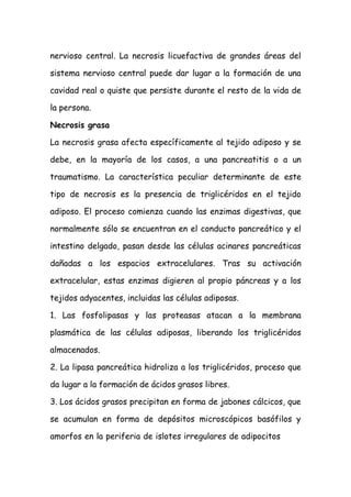 nervioso central. La necrosis licuefactiva de grandes áreas del
sistema nervioso central puede dar lugar a la formación de una
cavidad real o quiste que persiste durante el resto de la vida de
la persona.
Necrosis grasa
La necrosis grasa afecta específicamente al tejido adiposo y se
debe, en la mayoría de los casos, a una pancreatitis o a un
traumatismo. La característica peculiar determinante de este
tipo de necrosis es la presencia de triglicéridos en el tejido
adiposo. El proceso comienza cuando las enzimas digestivas, que
normalmente sólo se encuentran en el conducto pancreático y el
intestino delgado, pasan desde las células acinares pancreáticas
dañadas a los espacios extracelulares. Tras su activación
extracelular, estas enzimas digieren al propio páncreas y a los
tejidos adyacentes, incluidas las células adiposas.
1. Las fosfolipasas y las proteasas atacan a la membrana
plasmática de las células adiposas, liberando los triglicéridos
almacenados.
2. La lipasa pancreática hidroliza a los triglicéridos, proceso que
da lugar a la formación de ácidos grasos libres.
3. Los ácidos grasos precipitan en forma de jabones cálcicos, que
se acumulan en forma de depósitos microscópicos basófilos y
amorfos en la periferia de islotes irregulares de adipocitos
 