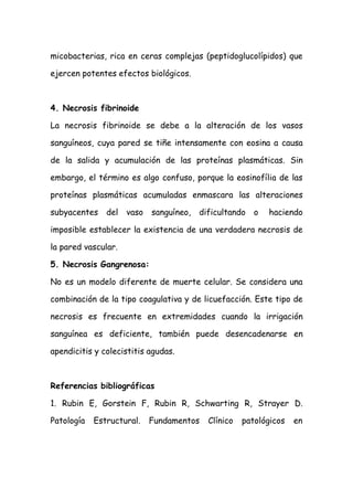 micobacterias, rica en ceras complejas (peptidoglucolípidos) que
ejercen potentes efectos biológicos.
4. Necrosis fibrinoide
La necrosis fibrinoide se debe a la alteración de los vasos
sanguíneos, cuya pared se tiñe intensamente con eosina a causa
de la salida y acumulación de las proteínas plasmáticas. Sin
embargo, el término es algo confuso, porque la eosinofília de las
proteínas plasmáticas acumuladas enmascara las alteraciones
subyacentes del vaso sanguíneo, dificultando o haciendo
imposible establecer la existencia de una verdadera necrosis de
la pared vascular.
5. Necrosis Gangrenosa:
No es un modelo diferente de muerte celular. Se considera una
combinación de la tipo coagulativa y de licuefacción. Este tipo de
necrosis es frecuente en extremidades cuando la irrigación
sanguínea es deficiente, también puede desencadenarse en
apendicitis y colecistitis agudas.
Referencias bibliográficas
1. Rubin E, Gorstein F, Rubin R, Schwarting R, Strayer D.
Patología Estructural. Fundamentos Clínico patológicos en
 