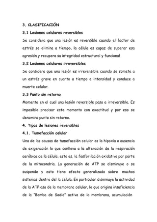 3. CLASIFICACIÓN
3.1 Lesiones celulares reversibles
Se considera que una lesión es reversible cuando el factor de
estrés se elimina a tiempo, la célula es capaz de superar esa
agresión y recupera su integridad estructural y funcional
3.2 Lesiones celulares irreversibles
Se considera que una lesión es irreversible cuando se somete a
un estrés grave en cuanto a tiempo e intensidad y conduce a
muerte celular.
3.3 Punto sin retorno
Momento en el cual una lesión reversible pasa a irreversible. Es
imposible precisar este momento con exactitud y por eso se
denomina punto sin retorno.
4. Tipos de lesiones reversibles
4.1. Tumefacción celular
Una de las causas de tumefacción celular es la hipoxia o ausencia
de oxigenación lo que conlleva a la alteración de la respiración
aeróbica de la célula, esto es, la fosforilación oxidativa por parte
de la mitocondria. La generación de ATP se disminuye o se
suspende y esto tiene efecto generalizado sobre muchos
sistemas dentro del la célula. En particular disminuye la actividad
de la ATP asa de la membrana celular, lo que origina insuficiencia
de la “Bomba de Sodio” activa de la membrana, acumulación
 