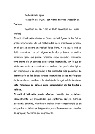 Fenton)
Weiss)
Radiolisis del agua
Reacción del H2O2 con hierro ferroso (reacción de
Reacción del O2
–
con el H2O2 (reacción de Haber –
El radical hidroxilo elimina un átomo de hidrógeno de los ácidos
grasos insaturados de los fosfolípidos de la membrana, proceso
en el que se genera un radical lípido libre. A su vez el radical
lípido reacciona con el oxígeno molecular y forma un radical
peróxido lípido que puede funcionar como iniciador, eliminando
otro átomo de un segundo ácido graso insaturado, con lo que se
inicia una serie de reacciones en cadena. Los peróxidos lípidos
son inestables y se degradan a las moléculas más pequeñas. La
destrucción de los ácidos grasos insaturados de los fosfolípidos
de la membrana conlleva a la pérdida de integridad de la misma.
Este fenómeno se conoce como peroxidación de los lípidos o
lipídica.
El radical hidroxilo puede afectar también las proteínas,
especialmente los aminoácidos que contienen azufre, cisteína,
metionina, arginina, histidina y prolina, como consecuencia de su
ataque las proteínas se fragmentan, establecen enlaces cruzados,
se agregan y terminan por degradarse.
 