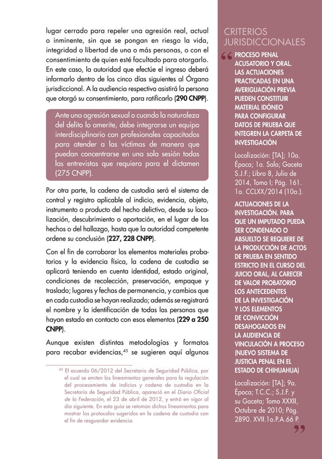 Ministerio Publico. Guía Litigación CNPP. PDF Descargable
