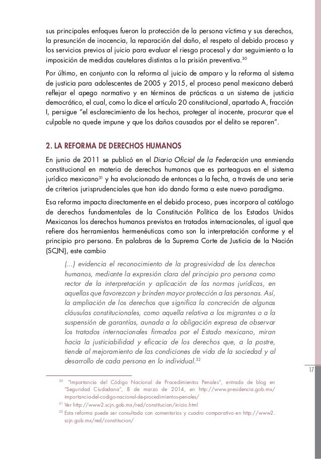 Ministerio Publico. Guía Litigación CNPP. PDF Descargable