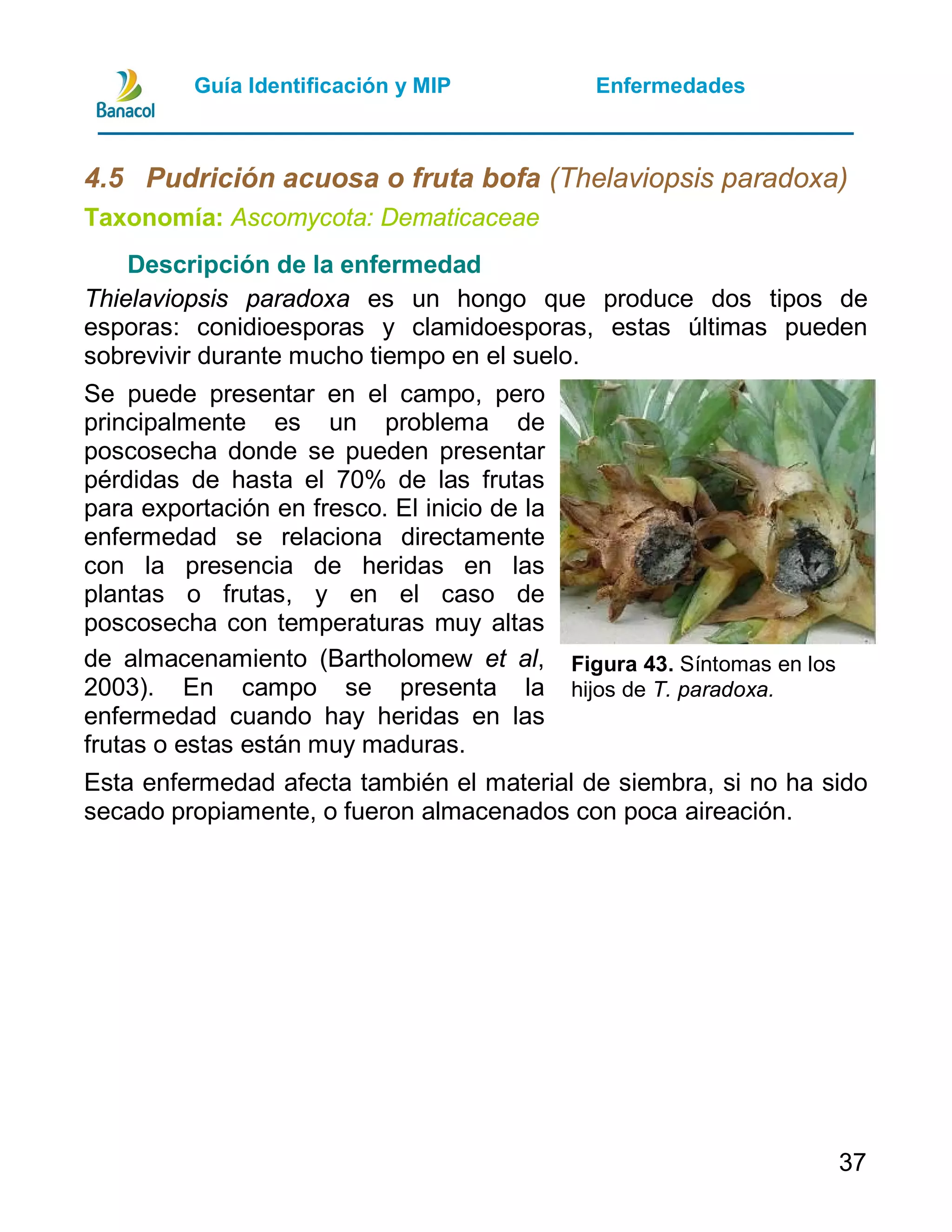 Guia manejo integrado de plagas y enfermedades de piña | PDF