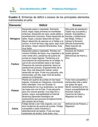 Guia manejo integrado de plagas y enfermedades de piña | PDF