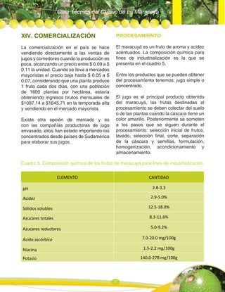 Guía Técnica del Cultivo de La Maracuya
27
XIV. COMERCIALIZACIÓN
La comercialización en el país se hace
vendiendo directamente a las ventas de
jugos y comedores cuando la producción es
poca, alcanzando un precio entre $ 0.09 a $
0.11 la unidad. Cuando se lleva a mercados
mayoristas el precio baja hasta $ 0.05 a $
0.07, considerando que una planta produce
1 fruto cada dos días, con una población
de 1600 plantas por hectárea, estaría
obteniendo ingresos brutos mensuales de
$1097.14 a $1645.71 en la temporada alta
y vendiendo en el mercado mayorista.
Existe otra opción de mercado y es
con las compañías productoras de jugo
envasado, ellos han estado importando los
concentrados desde países de Sudamérica
para elaborar sus jugos.
PROCESAMIENTO
El maracuyá es un fruto de aroma y acidez
acentuados. La composición química para
fines de industrialización es la que se
presenta en el cuadro 5.
Entre los productos que se pueden obtener
del procesamiento tenemos: jugo simple o
concentrado.
El jugo es el principal producto obtenido
del maracuyá, las frutas destinadas al
procesamiento se deben colectar del suelo
o de las plantas cuando la cáscara tiene un
color amarillo. Posteriormente se someten
a los pasos que se siguen durante el
procesamiento: selección inicial de frutos,
lavado, selección final, corte, separación
de la cáscara y semillas, formulación,
homogenización, acondicionamiento y
almacenamiento.
ELEMENTO CANTIDAD
pH 2.8-3.3
Acidez 2.9-5.0%
Sólidos solubles 12.5-18.0%
Azucares totales 8.3-11.6%
Azucares reductores 5.0-9.2%
Ácido ascórbico 7.0-20.0 mg/100g
Niacina 1.5-2.2 mg/100g
Potasio 140.0-278 mg/100g
Cuadro 5. Composición química de los frutos de maracuyá para fines de industrialización.
 