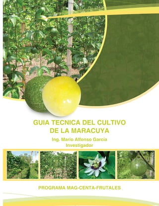 Guía Técnica del Cultivo de La MaracuyaGGuGuGGGGGGGGGuuuuuuuuuuGGGGGuuuuuuuuuGuGGuuGuGGuGuGGGGGGuuuuuGuGuGuGGGGGuuuuuuGGGGGGGGuuuuGuGGGGGGGGGGGGGGGuuuuuGGGGGGGGGGGuGGGGGGGGuuuuuuGGGGGGGGGGGGuGGGGGuuGGGuGGGGGuuuuuGGGuGGGGGuGuuuuuuGGGGGuuuuuuuGuGGGGGuuuuuGGuGuGuuuuuuuuGuGGGuGGuuuuuuuuGGGuGuuuuuuuuuuuuGuGuGuuuuuuuuuuuGGGuuuuuuuuuuuuuuuuGGuuuuuuuuuuuuuuuuGuuuuuGuuuuuuuuuuuuuuuuuuuuuuuuuuuuuuuuuuG íaaíaíaííííííííaííaííaíaíaaíaaííaíaíaíííaíííaíaíaíaíaíííaíaaíaíaaíaaíaíííaaíaíaíaaaíaíííaíaíaíaíaíaíaaaííaíaíaíaíaíaaíaíaíaííaíaaíaaíaíaíaaíaíaíaíaííííaíííaaíaíaíaíaííííííííííííaaíaíaííaííííííaíaíaaaíaaaaaííííííaíaíaíaíaíaíaíaaaaíaííaíííaíaíaíaíaíaíaaaíaaaíaííííaíaaaíaííaíaaíaííííaíaíaíaíaaíaíaíaíííííííaíaaaaaííííííaíaíííííaaaaíaííííííaaaaaaííaaaaaaíaaíaaaaaíaaaíaííaaaaaíaaííaaíaaííaaaaaíaaaaaaíaíaíaaaaa TTTTTTTTTTTTTTTTTTTTTTTTTTTTTTTTTTTTTTTTTTTTTTTTTTTTTTTTTTTTTTTTTTTTTTTTTTTTTééééécécécécéccécécécécécéécécécéécécécécéécécccccééécécééécécéécécécécécccccéééééécécccééécéécéccéécéccéécéccécécéccécéccéécécécécccéccccccccéccccccccccccccécccccccccccécccccccéccécccccécéccccccécécééécccécccéccccéééccccccéccccccccccccccécécccccccécéccéccccccéccécécéécccécéccccécécccéccccécécécécccécccécécécécccéécécécccéééécccccccéccéééécééécninnininininnninininniniiniininiininiinininnnnnnninininnininininiininnininiiininninininiininiiinnininininiinininnininininiinnnnniniiiiinininiinnnnnnniiiinnnnniiiiiinnnnninniinnninnnninnininiinnnnnnniniininnnnnnnininininininininnnnninininininininininnnnniniininnnnnininininnnnnnnnnninininnnnnninnnnnninnnnnnnnnninnnnniiniiiininnnnnicccccccccacacacacacacacccccccccccccccacaaccccccccacaccccccaccccaccacacaccacccccc ddddddddddddddddddddddddddddddddddddddddddddddddddddellellleleelelellelelleleleleleleleleeeeleeellelelelelllleleelelllelelelelelelellllllelellllllelelelelelelelllellellleleeleeleeelllllleleleelllleleeeeleleleellleleleeeleleelelllleleleleleleeellllleeleleeeelllllllleeeleleleleleeelllllleeeelelelleeelelellllelllllleelllelllllllllleellllllllellllllllllllllelllll CCCCCCCCCCCCCCCCCCCCCCCCCCCCCCCCCCCCCCCCCCCCCCCCCCCCCCCCCCCCCCCCCCCCCCCCCCCCCCCCCCCCCCCCCCCCCCCCCCCCCCCCCCCCCCCCCCCCCCCCCCCCCCCCCCCCCCCCCCCCCCCCCCCCCCCCCCCCCCCCCCCCCCCCCCCCCCCCCCCCCCCCCCCCCCCCCCCCCCCCCCCCCCCCCCCCCCCCCCCCCCCCCCCCCCCCCCCCCCCCCCCCCCCCCCCCCCCCCCCCCCCCCCCCCCCCCCCCCCCCCCCCCCCCCCCCCCCCCCCCCCCCCCCCCCCCCCCCCCCCCCCCCCCCCCCCCCCCCCCCCCCCCCCCCCCCCuululululuuuluulululuullllluulllluululululllllulullllluulllllulluuuulluuulluuuuuulluuuuuuuuuuuuuuluuuuuuuuuuuuuuuuuuuuuuuu ttitiitttitttittttiiitittttttttiitititittttititiitittttttiiitititttttttitiiiitititttttttitiiiititttttitttiiiiiitttttittitiiittitititiiiiiittitiiiiiiitiiiiititiiiittiiiittittititttittttitititiiivovovovovovovooovovovovvovvovovovovovovovovovovovvovovvovovvvvovovovvovovvovvooovoovvvoovvvovvvvvvvvvvovvvvovooooooo dddddddddddddddeeeeeeeeeeeeeeeeeeeeeeeeeeeeeeeeeeeeeeeeeeeeeeeee LaLaLaLaLaLaLLaLaLaLLLLLaaLaLLLa MMMMMMMMMMMMMMMMMMMMMMMMMMMMMMMMMMMMMMMMMMMMMMMMMMMMMMMMMMMMMMMMMMMMMMMMMMMMMMMMMMMMMMMMMMMMararaarararararararararararrrrararrrrraraaaaarararaaraaaaaaaaaa aaaacacacacacacacacaccaaaaaacaaaacaaaaaaaaacacacaccaa uuyuyuyuyuyuyuyuyyyyyyuyyyyuyuyyuuuyyyuyuyyuuyuuyuyuyyuuyyuyyyuyyyyyyyyyyyyyyyyyyyyyyyyyyyyyyyyyyyyyyyyyyyyyyyyyyyyyyaaaaaaaaaaaaaaaaaaaaaaaaaaaaaaaaaaaaaaaaaaaaaaaaaaaaaaaaaaa
Ing. Mario Alfonso García
Investigador
PROGRAMA MAG-CENTA-FRUTALES
GUIA TECNICA DEL CULTIVO
DE LA MARACUYA
 