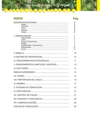 Guía Técnica del Cultivo de La Maracuya
INDICE Pag.
DESCRIPCION BOTÁNICA ............................................................ 6
Hojas ................................................................................. 6
Zarcillos ............................................................................ 6
Tallo .................................................................................. 6
Raíces ............................................................................... 6
Flores ................................................................................ 6
I. GENERALIDADES ....................................................................... 7
Importancia ........................................................................ 7
Usos ................................................................................... 7
Zonas Productoras ............................................................ 7
Origen ................................................................................ 7
Clasificación Taxonómica .................................................. 7
Polinización ........................................................................ 9
Fruto .................................................................................. 9
II. SEMILLA ..................................................................................... 10
III. METODO DE PROPAGACIÓN .................................................. 10
IV. REQUERIMIENTOS NUTRICIONALES .................................... 11
V. REQUERIMIENTOS CLIMÁTICOS Y EDÁFICOS ...................... 13
VI. CULTIVARES .............................................................................. 14
MANEJO AGRONÓMICO ................................................................. 14
VII. VIVERO ...................................................................................... 14
VIII. PREPARACIÓN DEL SUELO .................................................... 16
IX. SIEMBRA ..................................................................................... 17
X. SISTEMAS DE CONDUCCIÓN ..................................................... 17
XI. FERTILIZACIÓN ........................................................................... 21
XII. CONTROL DE PLAGAS .............................................................. 21
XIII. COSECHA Y POSCOSECHA ..................................................... 26
XIV. COMERCIALIZACIÓN ................................................................ 26
COSTOS DE PRODUCCIÓN ............................................................. 28
 