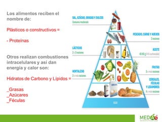 Los alimentos reciben el
nombre de:
Plásticos o constructivos =
- Proteínas
Otros realizan combustiones
intracelulares y así dan
energía y calor son:
Hidratos de Carbono y Lípidos =
_Grasas
_Azúcares
_Féculas
 