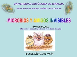 DR. ROSALÍO RAMOS PAYÁN
BACTERIOLOGÍA
(Material de apoyo Importancia de la Bacteriología)
FACULTAD DE CIENCIAS QUÍMICO BIOLÓGICAS
UNIVERSIDAD AUTÓNOMA DE SINALOA
 