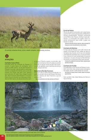 Os animais silvestres livres, como o veado-campeiro, são grandes atrativos.
Turistas contemplam a beleza do poço formado pela Casca D’Anta.
88
atraçõeS
Cachoeira Casca d’anta
Principal ponto de visitação do Parque. O
acesso à parte baixa da cachoeira, com
queda de 186 metros, se dá pela Portaria 4
(Vargem Grande), cuja estrada é a única que
oferece condições de trânsito para carros de
passeio (as outras são bem ruins, apenas
para veículos off road). Para chegar à parte
alta, deve-se entrar pela Portaria 1. O visual é
lindo e há um mirante com vista para o pare-
dão de 300 metros de altitude de onde caem
as águas. O banho, porém, é arriscado, não
só nessa cachoeira, mas em todas as outras
da região: as águas claras da Serra da Canas-
tra são tão geladas, que o banhista se arrisca
a um choque térmico.
Nascente do rio São Francisco
Fica num vale a 1.300 metros de altitude, na
beira da estrada interna do Parque. No local,
há uma estátua de São Francisco, que dá
nome ao rio.
São cinco quilômetros de chão, partindo da Portaria 1.
Para mais opções de hotéis, acesse www.minasgerais.com.br e www.abihmg.com.br
Para mais opções de bares e restaurantes, acesse www.minasgerais.com.br e www.mg.abrasel.com.br
Curral de Pedras
Muros de pedra construídos sem argamassa,
que formam construção de dois ambientes e
formas arredondadas. Também conhecida
como Retiro dos Posses, família à qual per-
tenceu, a construção era usada como fa-
zenda temporária, para onde o gado era
levado no verão.
Saindo da nascente do São Francisco, siga na estrada do
Parque por mais oito quilômetros e vire à direita.
Cachoeira de rolinhos
A mais alta do Parque, com 210 metros de
queda, é formada por três caídas de água e,
na época das chuvas, forma-se uma quarta,
chamada de Cachoeira Seca. O visual é lindo,
mas o terreno é muito acidentado e é preciso
atravessar o rio para alcançá-la. Recomenda-
se acionar um guia para fazer esse passeio.
O acesso ﬁca depois do Curral das Pedras, seguindo pela
estrada do Parque.
Cachoeira do Fundão
Considerada a mais bonita do Parque, é tam-
bém uma das mais preservadas paisagens
da região, devido à diﬁculdade de acesso.
Na estrada do Parque, entrar à direita, depois da entrada
para Rolinhos.
(Ver também São João Batista do Glória e
Sacramento)
 