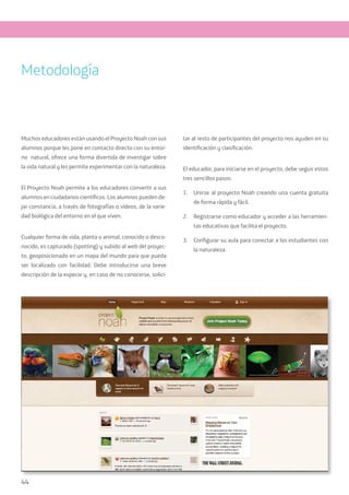 44
Muchos educadores están usando el Proyecto Noah con sus
alumnos porque les pone en contacto directo con su entor-
no natural, ofrece una forma divertida de investigar sobre
la vida natural y les permite experimentar con la naturaleza.
El Proyecto Noah permite a los educadores convertir a sus
alumnos en ciudadanos científicos. Los alumnos pueden de-
jar constancia, a través de fotografías o vídeos, de la varie-
dad biológica del entorno en el que viven.
Cualquier forma de vida, planta o animal, conocido o desco-
nocido, es capturado (spotting) y subido al web del proyec-
to, geoposicionado en un mapa del mundo para que pueda
ser localizado con facilidad. Debe introducirse una breve
descripción de la especie y, en caso de no conocerse, solici-
tar al resto de participantes del proyecto nos ayuden en su
identificación y clasificación.
El educador, para iniciarse en el proyecto, debe seguir estos
tres sencillos pasos:
1.	 Unirse al proyecto Noah creando una cuenta gratuita
de forma rápida y fácil.
2.	 Registrarse como educador y acceder a las herramien-
tas educativas que facilita el proyecto.
3.	 Configurar su aula para conectar a los estudiantes con
la naturaleza.
Metodología
 