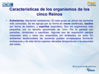 Características de los organismos de los
                  cinco Reinos
•   Eubacterias: (bacterias verdaderas). En este grupo se ubican las bacterias
    más conocidas. Se les agrupa por su forma en cocos (esféricas), bacilos
    (en forma de bastón), y espirilos (espirales). Son los organismos más
    pequeños con un tamaño aproximado de 1mm. Por lo general son
    parásitas, simbiontes o sapróbias. Algunas son de respiración aerobia
    (necesitan aire) y otros son anaerobios (en ambientes sin aire). En
    ambientes desfavorables las bacterias pueden encapsularse formando
    endosporas y de esta forma soportar elevadas temperaturas o la sequedad
    del medio.
 