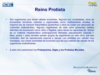 Reino Protista

•   Son organismos que tienen células eucariotas. Algunos son unicelulares, otros se
    encuentran formando colonias u organizadas como multicelulares simples, la
    mayoría son de nutrición fotosintética (autótrofos) y otros se nutren por absorción de
    nutrientes (heterótrofos). Algunos organismos de este reino presentan medios
    definidos de locomoción como cilios o flagelos, otros tienen la capacidad de formar
    de su material citoplasmático prolongaciones llamadas pseudópodos (pseudo =
    falso, podos = pies) también existen grupos de organismos en este reino que son
    inmóviles. Son de reproducción asexual y sexual. Los protistas son células muy
    complejas, con mayor diversidad de funciones que las que realizan las células de los
    organismos multicelulares.

•   A este reino pertenecen los Protozoarios, Algas y los Protistas Micoides.
 