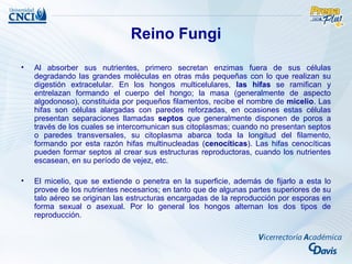 Reino Fungi
•   Al absorber sus nutrientes, primero secretan enzimas fuera de sus células
    degradando las grandes moléculas en otras más pequeñas con lo que realizan su
    digestión extracelular. En los hongos multicelulares, las hifas se ramifican y
    entrelazan formando el cuerpo del hongo; la masa (generalmente de aspecto
    algodonoso), constituida por pequeños filamentos, recibe el nombre de micelio. Las
    hifas son células alargadas con paredes reforzadas, en ocasiones estas células
    presentan separaciones llamadas septos que generalmente disponen de poros a
    través de los cuales se intercomunican sus citoplasmas; cuando no presentan septos
    o paredes transversales, su citoplasma abarca toda la longitud del filamento,
    formando por esta razón hifas multinucleadas (cenocíticas). Las hifas cenocíticas
    pueden formar septos al crear sus estructuras reproductoras, cuando los nutrientes
    escasean, en su período de vejez, etc.

•   El micelio, que se extiende o penetra en la superficie, además de fijarlo a esta lo
    provee de los nutrientes necesarios; en tanto que de algunas partes superiores de su
    talo aéreo se originan las estructuras encargadas de la reproducción por esporas en
    forma sexual o asexual. Por lo general los hongos alternan los dos tipos de
    reproducción.
 