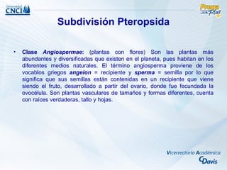 Subdivisión Pteropsida

•   Clase Angiospermae: (plantas con flores) Son las plantas más
    abundantes y diversificadas que existen en el planeta, pues habitan en los
    diferentes medios naturales. El término angiosperma proviene de los
    vocablos griegos angeion = recipiente y sperma = semilla por lo que
    significa que sus semillas están contenidas en un recipiente que viene
    siendo el fruto, desarrollado a partir del ovario, donde fue fecundada la
    ovocélula. Son plantas vasculares de tamaños y formas diferentes, cuenta
    con raíces verdaderas, tallo y hojas.
 