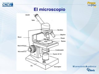 El microscopio
 