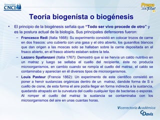 Teoria biogenísta o biogénesis
•   El principio de la biogénesis señala que “Todo ser vivo procede de otro” y
    es la postura actual de la biología. Sus principales defensores fueron:
     – Francesco Redi (Italia 1668): Su experimento consistió en colocar trozos de carne
       en dos frascos: uno cubierto con una gasa y el otro abierto, los gusanillos blancos
       que dan origen a las moscas solo se hallaban sobre la carne depositada en el
       frsaco abierto, en el frasco abierto estaban sobre la tela.
     – Lazzaro Spallanzani (Italia 1767): Demostró que si se hervía un caldo nutritivo en
       un matraz y luego se sellaba el cuello del recipiente, éste no producía
       microorganismos, en cambio cuando se rompía el cuello del matraz, el caldo se
       contaminaba y aparecían en él diversos tipos de microorganismos.
     – Louis Pasteur (Francia 1862): Un experimento de este cientifico consistió en
       poner a hervir sustancias orgánicas dentro de un matraz, dandole forma de S o
       cuello de cisne, de esta forma el aire podía llegar en forma indirecta a la sustancia,
       quedando atrapado en la curvatura del cuello cualquier tipo de bacterias o esporas.
       Al romper el cuello del matraz la sustancia se contaminaba con los
       microorganismos del aire en unas cuantas horas.
 