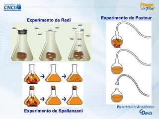 Experimento de Pasteur
 Experimento de Redi




Experimento de Spallanzani
 
