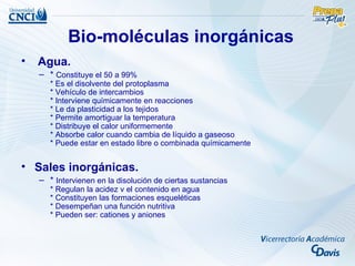 Bio-moléculas inorgánicas
•   Agua.
    – * Constituye el 50 a 99%
       * Es el disolvente del protoplasma
       * Vehículo de intercambios
       * Interviene químicamente en reacciones
       * Le da plasticidad a los tejidos
       * Permite amortiguar la temperatura
       * Distribuye el calor uniformemente
       * Absorbe calor cuando cambia de líquido a gaseoso
       * Puede estar en estado libre o combinada químicamente


• Sales inorgánicas.
    – * Intervienen en la disolución de ciertas sustancias
       * Regulan la acidez v el contenido en agua
       * Constituyen las formaciones esqueléticas
       * Desempeñan una función nutritiva
       * Pueden ser: cationes y aniones
 