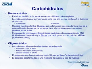 Carbohidratos
•   Monosacáridos
    •   Participan también en la formación de carbohidratos más complejos.
    •   Los más conocidos por su importancia en la vida son los que contiene 5 o 6 átomos
        de carbono
         – 5C=Pentosas                             6C=hexosas
    •   Hexosas más importantes: Glucosa, que es la hexosa más importante ya que es la
        principal fuente de energía de los seres vivos y la fructosa que es una azúcar
        presente en las frutas
    •   Pentosas más importantes: Desoxirribosa, participa en la composición del DNA
        (ácido desoxirribonucleico) y la Ribosa que participa en la composición del RNA
        (ácido ribonucleico)

•   Oligosacáridos
    •   Los más conocidos son los disacáridos, especialmente:
         – Sacarosa = Azúcar de mesa
         – Maltosa= Azúcar de la malta (cerveza)
         – Lactosa= Presente en la leche
    •   El enláce que une las unidades de carbohidratos se llama “enlace glucosídico”
    •   La sacarosa esta formada por una molécula de glucosa y otra de fructosa
 