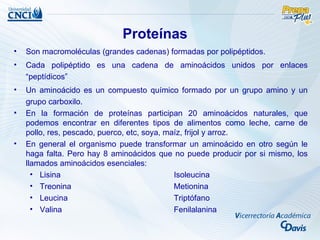 Proteínas
•   Son macromoléculas (grandes cadenas) formadas por polipéptidos.
•   Cada polipéptido es una cadena de aminoácidos unidos por enlaces
    “peptídicos”
•   Un aminoácido es un compuesto químico formado por un grupo amino y un
    grupo carboxilo.
•   En la formación de proteínas participan 20 aminoácidos naturales, que
    podemos encontrar en diferentes tipos de alimentos como leche, carne de
    pollo, res, pescado, puerco, etc, soya, maíz, frijol y arroz.
•   En general el organismo puede transformar un aminoácido en otro según le
    haga falta. Pero hay 8 aminoácidos que no puede producir por si mismo, los
    llamados aminoácidos esenciales:
      • Lisina                                Isoleucina
      • Treonina                              Metionina
      • Leucina                               Triptófano
      • Valina                                Fenilalanina
 