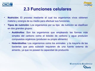 2.3 Funciones celulares
•   Nutrición: El proceso mediante el cual los organismos vivos obtienen
    materia y energía de su medio para efectuar sus funciones.
•   Tipos de nutrición: Los organismos por su tipo de nutrición se clasifican
    en dos grandes grupos:
     – Autótrofos: Son los organismos que empleando las formas más
       simples del carbono como el bióxido de carbono y agua producen
       compuestos orgánicos (producen su propio alimento)
     – Heterótrofos: Los organismos como los animales y la mayoría de las
       bacterias que para subsistir requieren de una fuente externa de
       aimento, ya que no poseen la capacidad de producirlo
 