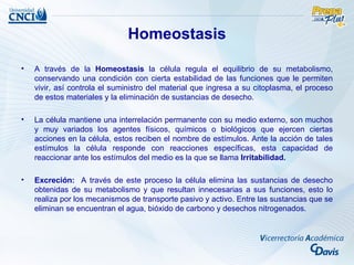 Homeostasis

•   A través de la Homeostasis la célula regula el equilibrio de su metabolismo,
    conservando una condición con cierta estabilidad de las funciones que le permiten
    vivir, así controla el suministro del material que ingresa a su citoplasma, el proceso
    de estos materiales y la eliminación de sustancias de desecho.

•   La célula mantiene una interrelación permanente con su medio externo, son muchos
    y muy variados los agentes físicos, químicos o biológicos que ejercen ciertas
    acciones en la célula, estos reciben el nombre de estímulos. Ante la acción de tales
    estímulos la célula responde con reacciones específicas, esta capacidad de
    reaccionar ante los estímulos del medio es la que se llama Irritabilidad.

•   Excreción: A través de este proceso la célula elimina las sustancias de desecho
    obtenidas de su metabolismo y que resultan innecesarias a sus funciones, esto lo
    realiza por los mecanismos de transporte pasivo y activo. Entre las sustancias que se
    eliminan se encuentran el agua, bióxido de carbono y desechos nitrogenados.
 
