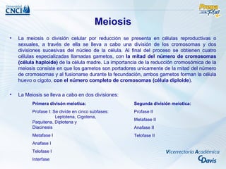 Meiosis
•   La meiosis o división celular por reducción se presenta en células reproductivas o
    sexuales, a través de ella se lleva a cabo una división de los cromosomas y dos
    divisiones sucesivas del núcleo de la célula. Al final del proceso se obtienen cuatro
    células especializadas llamadas gametos, con la mitad del número de cromosomas
    (célula haploide) de la célula madre. La importancia de la reducción cromosómica de la
    meiosis consiste en que los gametos son portadores unicamente de la mitad del número
    de cromosomas y al fusionarse durante la fecundación, ambos gametos forman la célula
    huevo o cigoto, con el número completo de cromosomas (célula diploide).

•   La Meiosis se lleva a cabo en dos divisiones:
          Primera divisón meiotica:                   Segunda división meiotica:
          Profase I: Se divide en cinco subfases:     Profase II
                      Leptotena, Cigotena,
                                                      Metafase II
          Paquitena, Diplotena y
          Diacinesis                                  Anafase II
          Metafase I                                  Telofase II
          Anafase I
          Telofase I
          Interfase
 