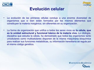 Evolución celular

•   La evolución de las primeras células condujo a una enorme diversidad de
    organismos que si bien están formados por los mismos elementos que
    constituyen la materia inorgánica, sin diferentes en su organización.

•   La forma de organización que unifica a todos los seres vivos es la célula, que
    es la unidad estructural y funcional básica de la materia viva. La citología,
    disciplina que estudia la célula, ha demostrado que todos los organismos tanto
    unicelulares como multicelulares disponen de la misma maquinaria bioquímica
    para realizar sus funciones metabólicas, su información hereditaria se regula por
    el mismo código genético.
 