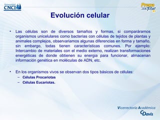 Evolución celular

•   Las células son de diversos tamaños y formas, si comparáramos
    organismos unicelulares como bacterias con células de tejidos de plantas y
    animales complejos, observariamos algunas diferencias en forma y tamaño,
    sin embargo, todas tienen características comunes. Por ejemplo:
    Intercambio de materiales con el medio externo, realizan transformaciones
    energéticas de donde obtienen su energia para funcionar, almacenan
    información genética en moléculas de ADN, etc.

•   En los organismos vivos se observan dos tipos básicos de células:
     – Células Procariotas
     – Células Eucariotas.
 