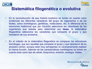 Sistemática filogenética o evolutiva

•   En la reconstrucción de esa historia evolutiva se toman en cuenta como
    evidencias los diferentes caracteres del grupo de organismos o de los
    fósiles, como morfológicos, genéticos, moleculares, etc. A diferencia de la
    taxonomía tradicional que por intuición selecciona los caracteres de los
    organismos que estudia para determinar sus taxas, la sistemática
    filogenética selecciona los caracteres que comparte el grupo y que
    heredaron de sus ancestros.

•   En el método de la sistemática filogenética se comparan las estructuras
    homólogas, que son aquellas que comparte el grupo y que heredaron de su
    ancestro común, aunque sean muy semejantes no necesariamente realizan
    la misma función. Además de las características morfológicas se toman en
    cuenta otras como tipo de célula, bioquímica, embrión, ecología, fósiles.
 