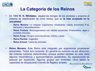 La Categoría de los Reinos
•   En 1969 R. H. Whittaker, separa los hongos de los protistas y propone el
    sistema de clasificación de cinco reinos, que es la más aceptada en la
    actualidad:
     – Reino Monera: Lo integran organismos unicelulares (célula procariota) P.ej.
       Bacterias y arqueabacterias.
     – Reino Protista: Microorganismos con células eucariotas. Protozoarios, algas y
       protistas micoides.
     – Reino Fungi: Hongos como levaduras, mohos y setas.
     – Reino Plantae: Vegetales
     – Reino Animal: Todos los animales.


•   Reino Monera: Este Reino está integrado por organismos uncelulares
    procariotas. Todos son bacterias. En general su nutrición es por absorción
    del material nutriente (heterótrofos) aunque existen también en este reino
    algunos fotosintéticos y quimiosintéticos (autótrofos). Su reproducción es
    asexual por bipartición. Algunos grupos son inmóviles, otros tienen la
    capacidad de desplazarse a través de flagelos simples.
 