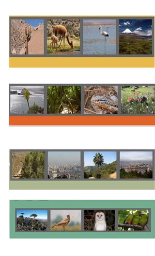 Guia museo museo quinta normal