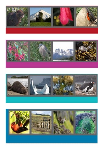 Guia museo museo quinta normal