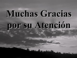 Muchas Gracias
por su Atención
 