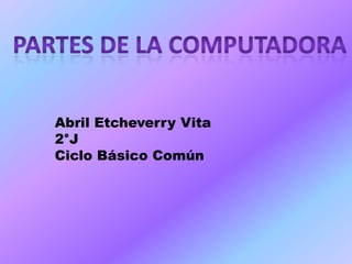 Abril Etcheverry Vita
2°J
Ciclo Básico Común
 