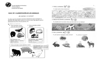 Escuela República de Honduras
Primeros Básicos
Comprensión del Medio
GUIA Nº 4 ALIMENTACIÓN DE LOS ANIMALES
 