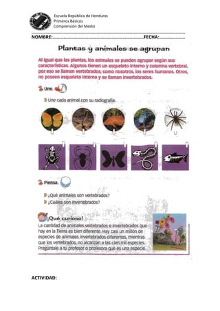 Guia nº 5. vertebrados e invertebrados