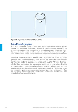 $SOLFD©¥R GH FORUR ø¼RU H FDO  