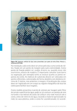 9LVWD VXSHULRU HP FRUWH GH XPD FDOKD 3DUVKDOO
% 